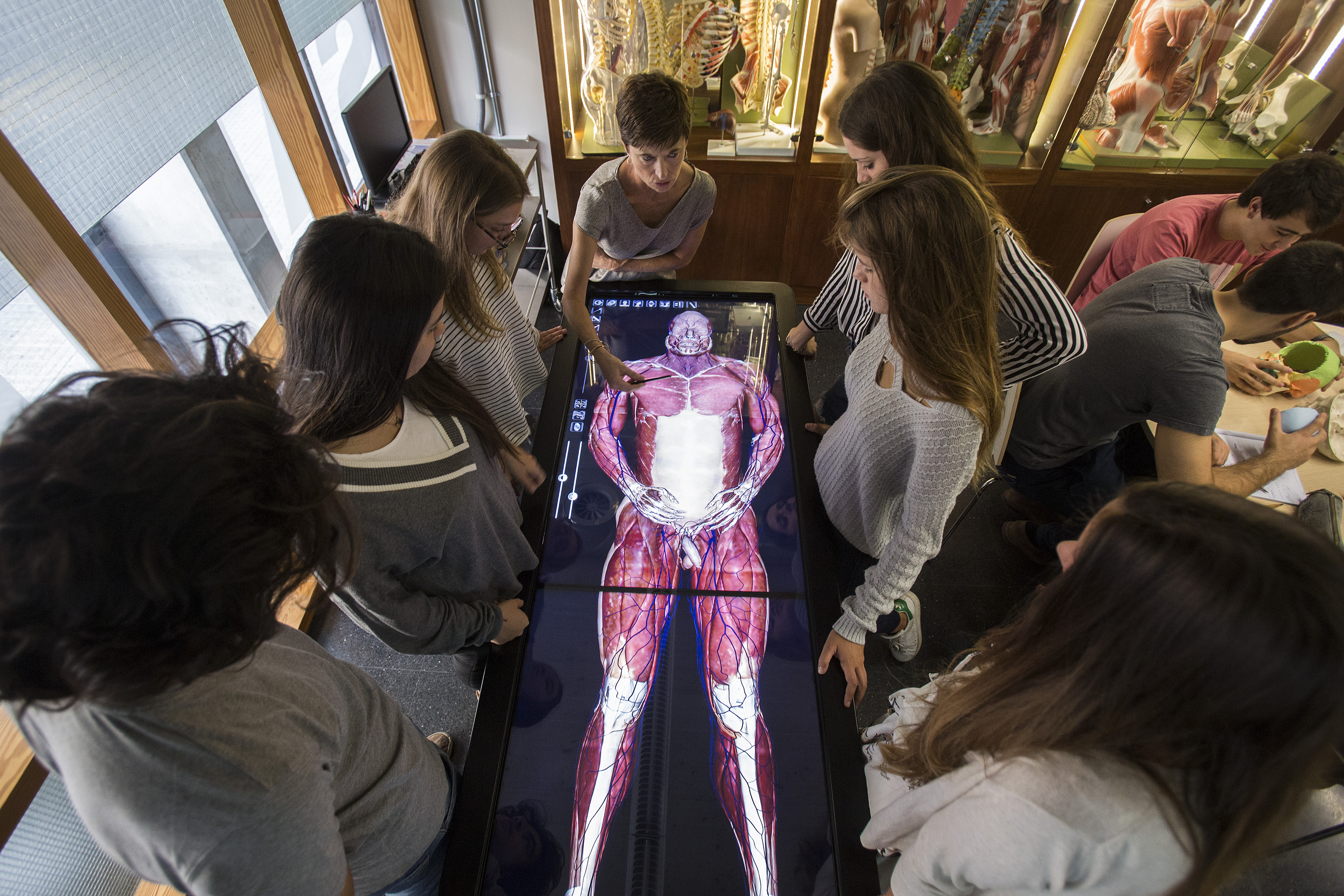 Anatomage