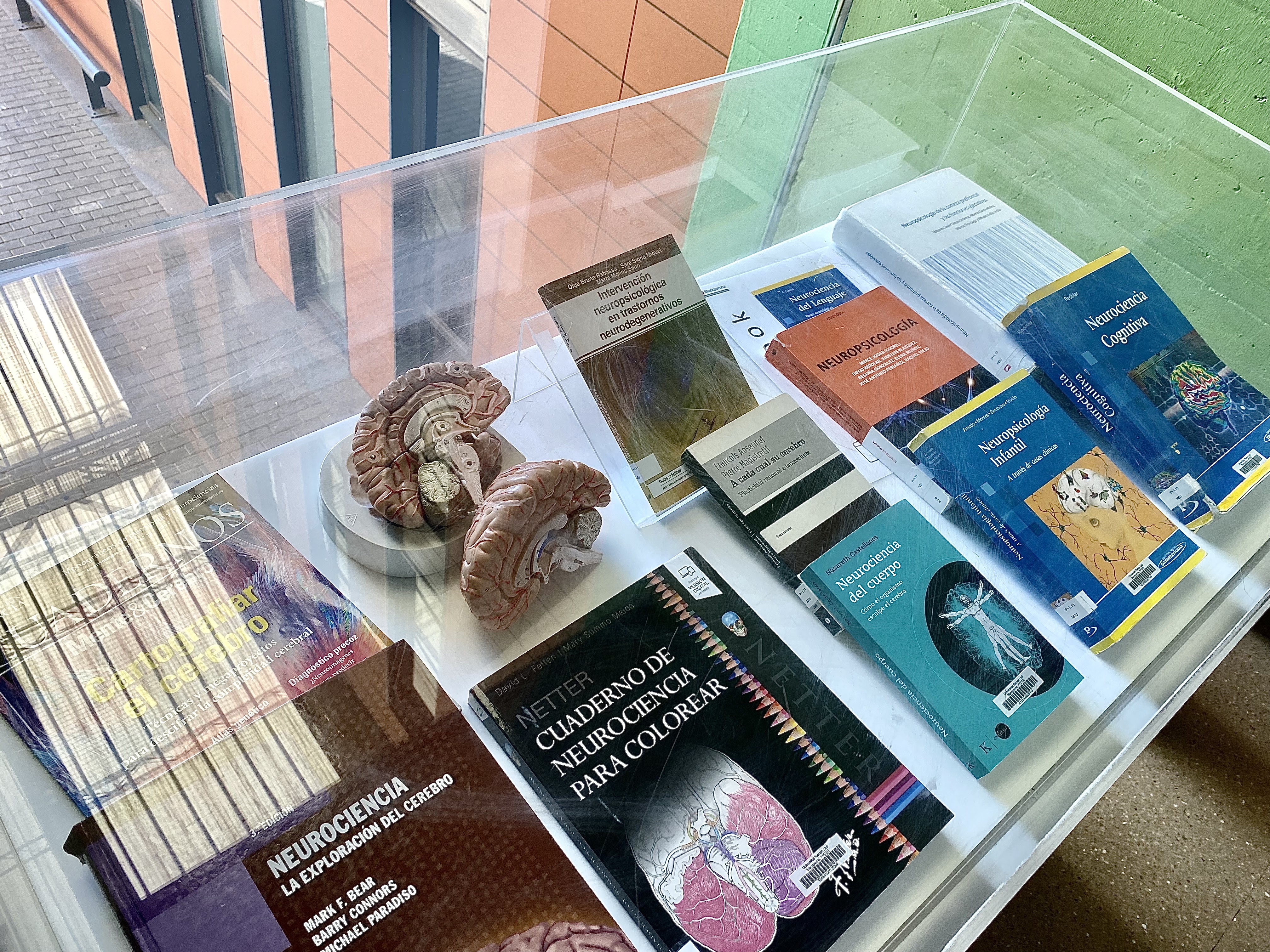 FPCEE - Expo Neurociència Psicologia Biblioteca