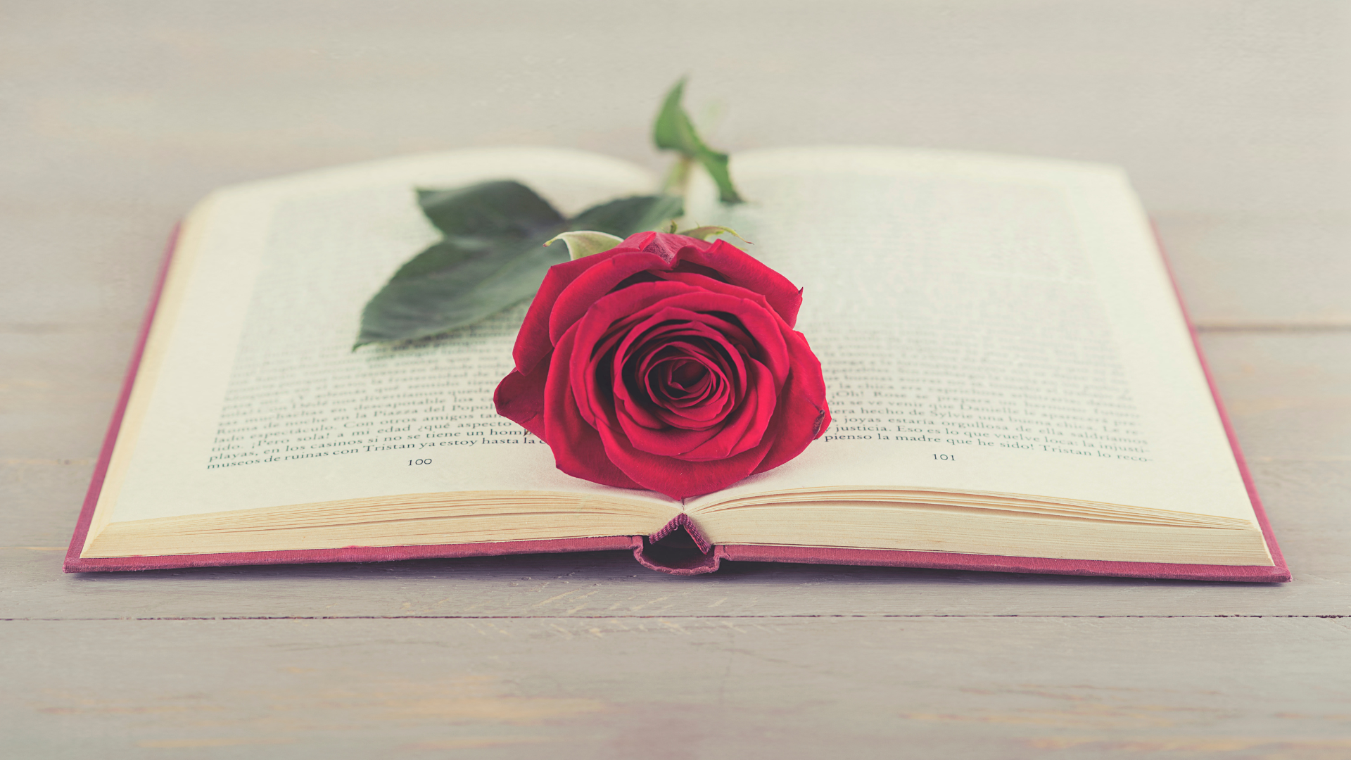 rosa-libro