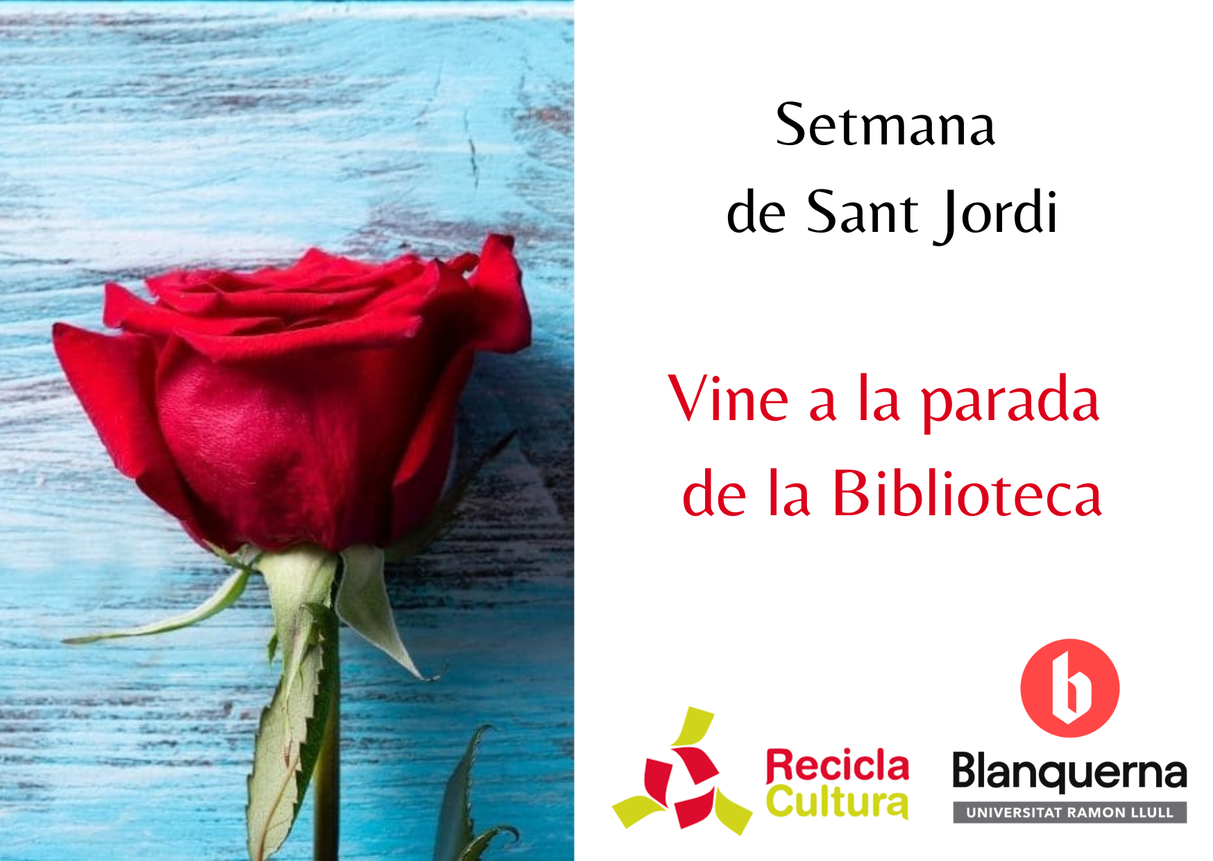 setmana de sant jordi