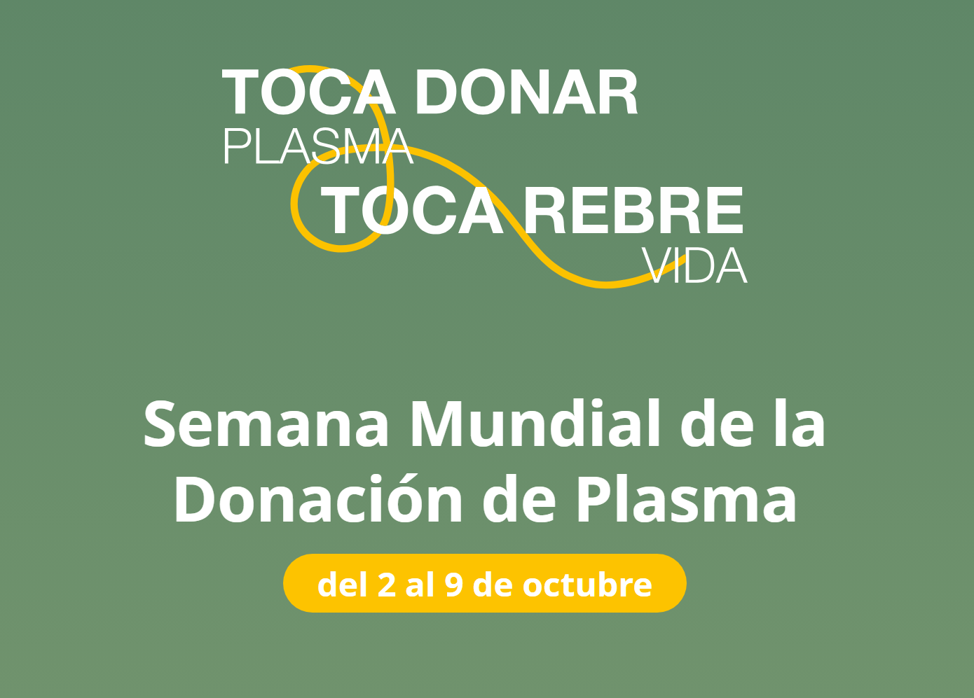 Lema_Plasma