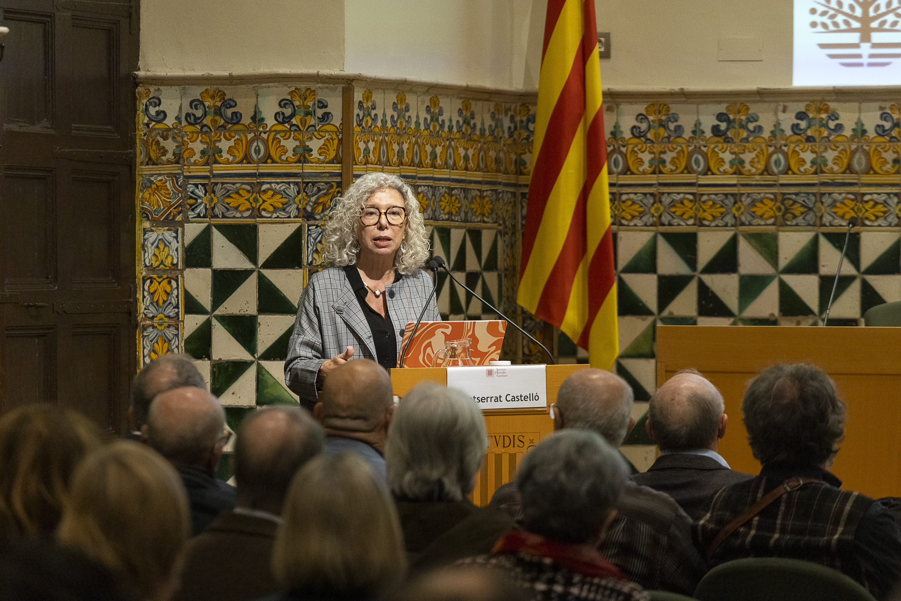 M castelló