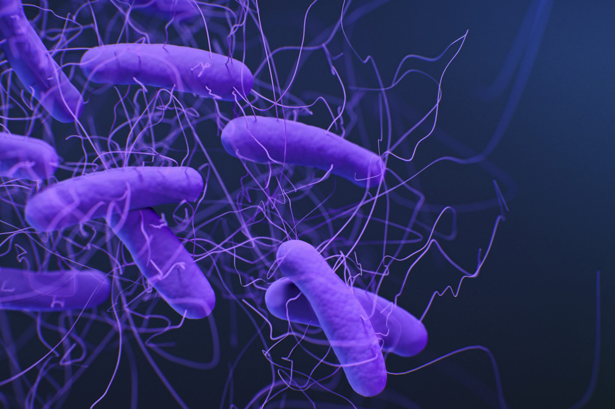 Clostridioides difficile