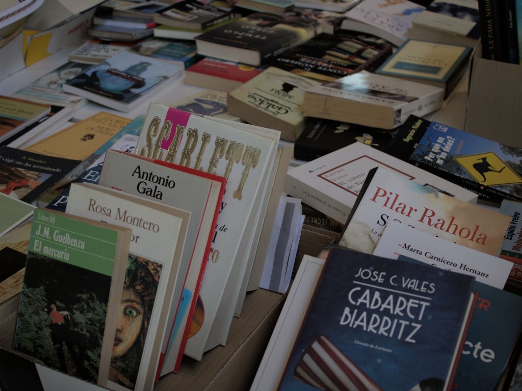 sant jordi 25