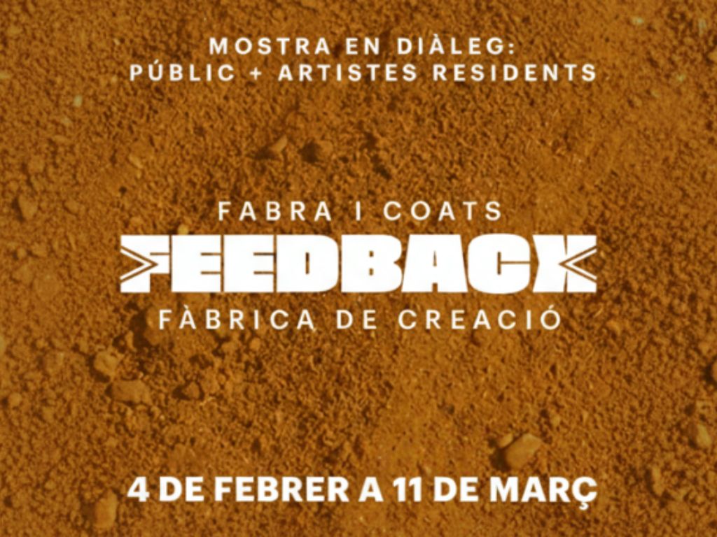 Feedback