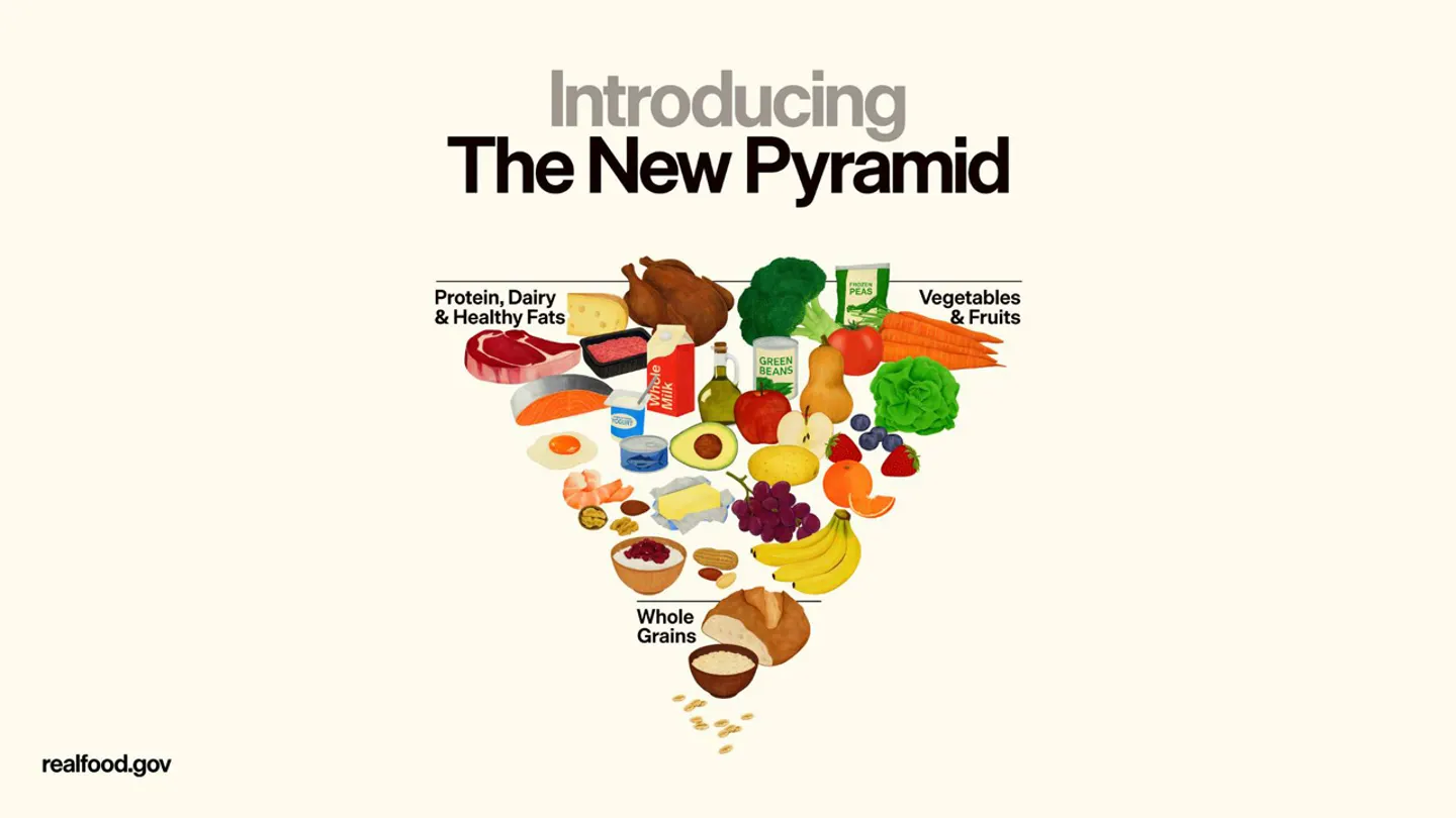 Guia alimentaria d'EUA