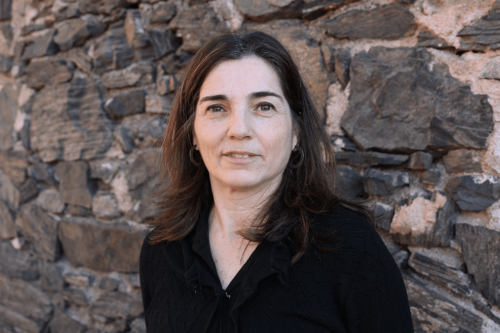 professora fpcee