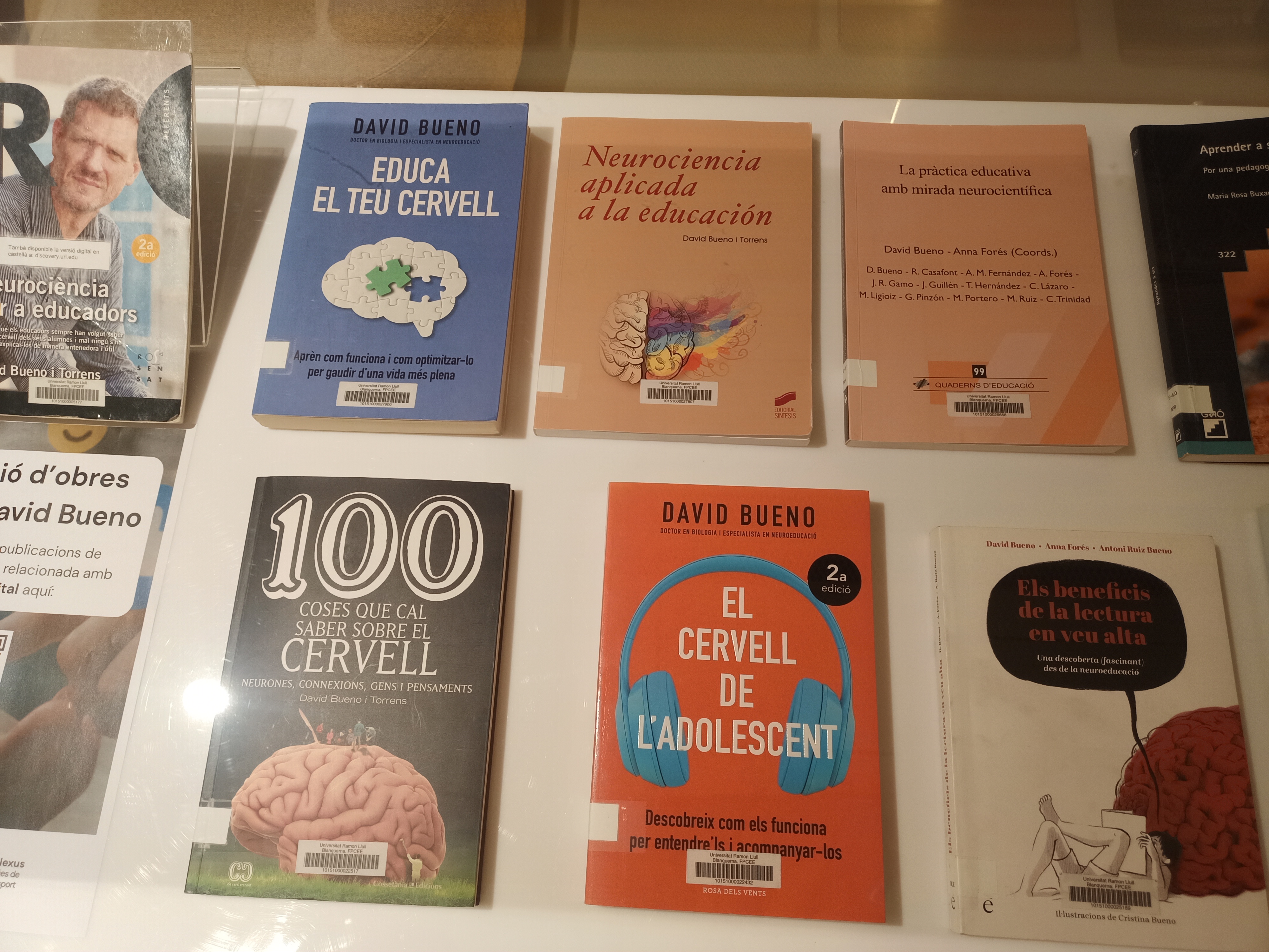 Llibres de David Bueno