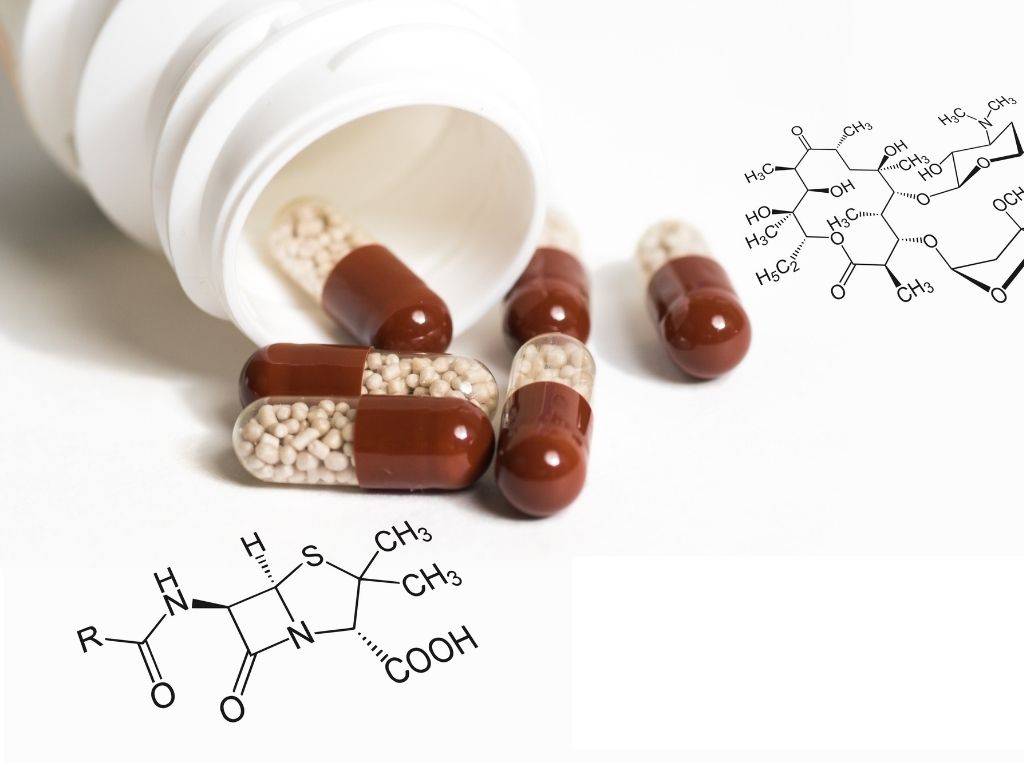 antibiotics