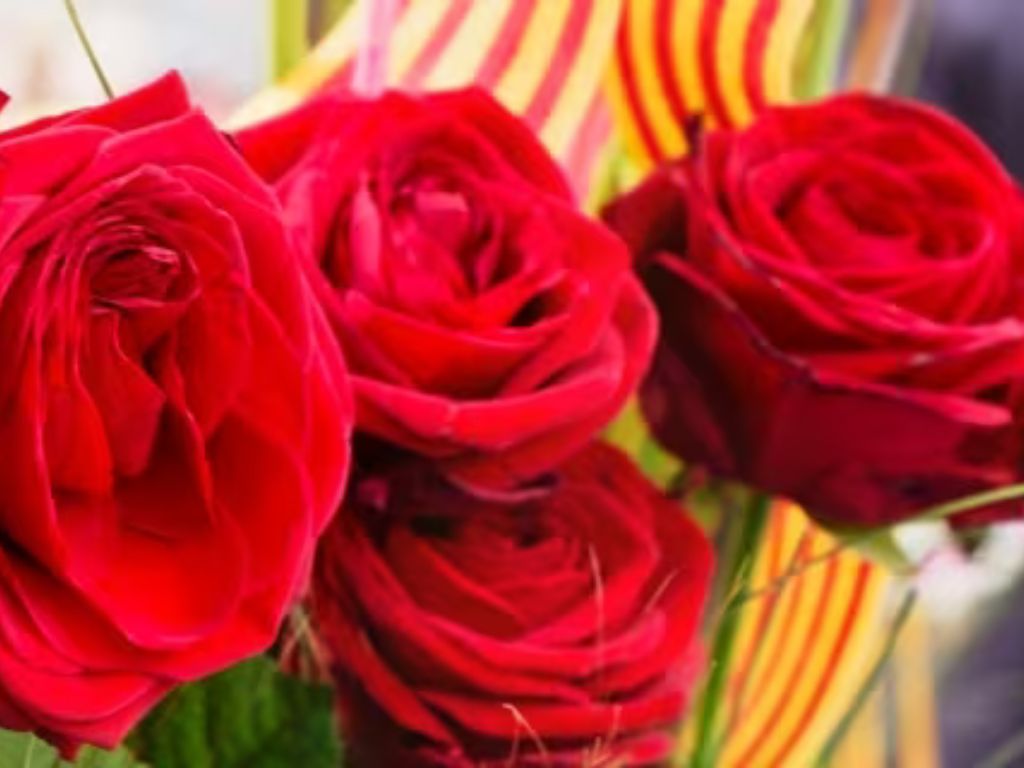 Sant Jordi