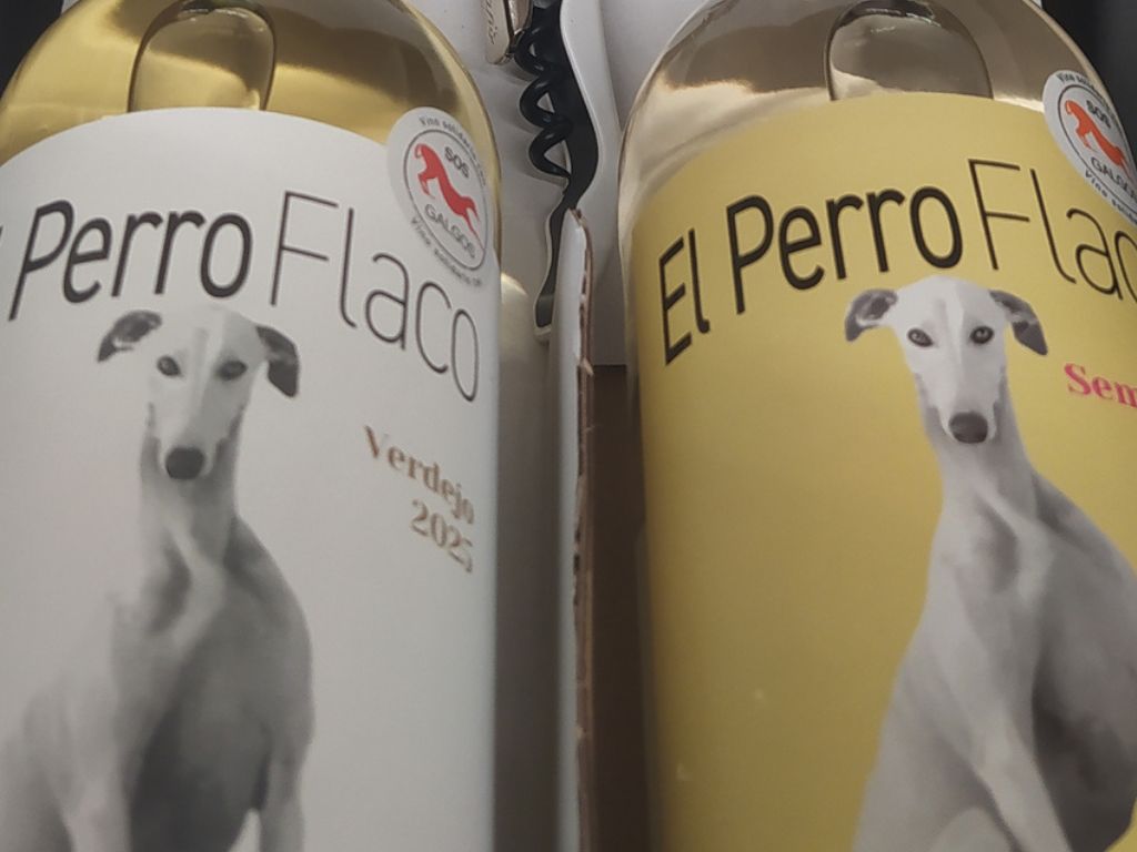Perro flaco