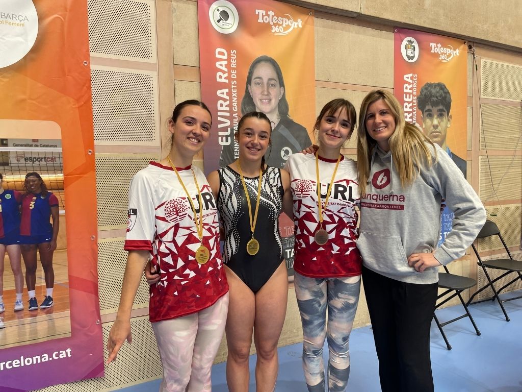 gimnastrada