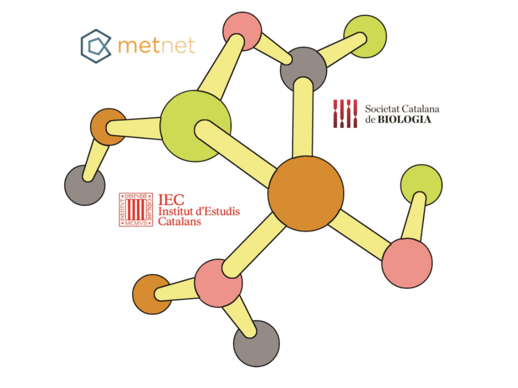 cartell del 12th Annual MetNet International Meeting