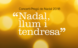 «Navidad, luz y ternura», el eje temático del Concierto-Pregón de Navidad