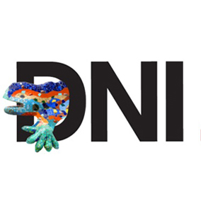 Blanquerna acoge el Drac Novell Internacional