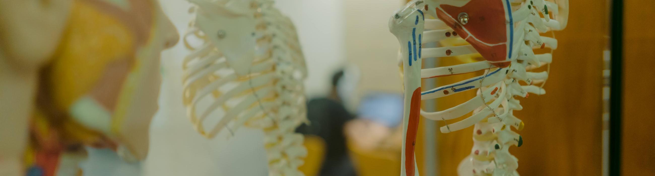 Recerca Facultat Ciències de la Salut