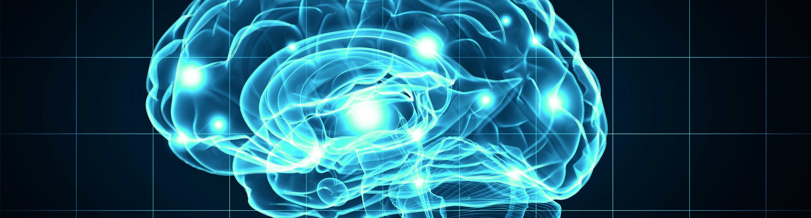 MU Neurofisioterapia