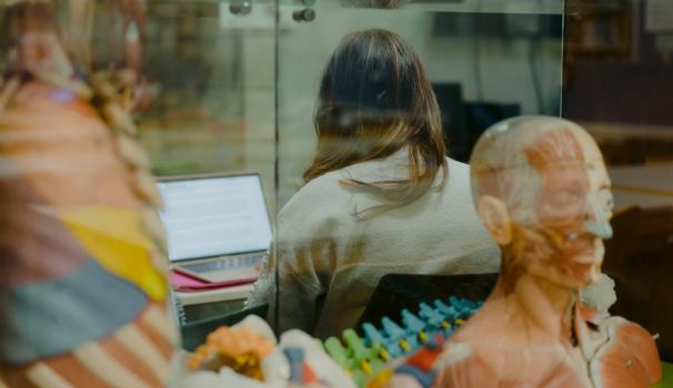 Comitè d'Ètica de Recerca