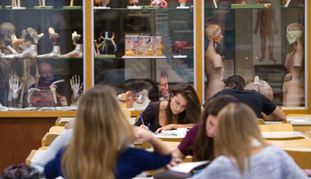 Alumnes a la biblioteca de la FCS