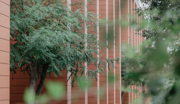 Màster Universitari en Psicopedagogia de Blanquerna-URL