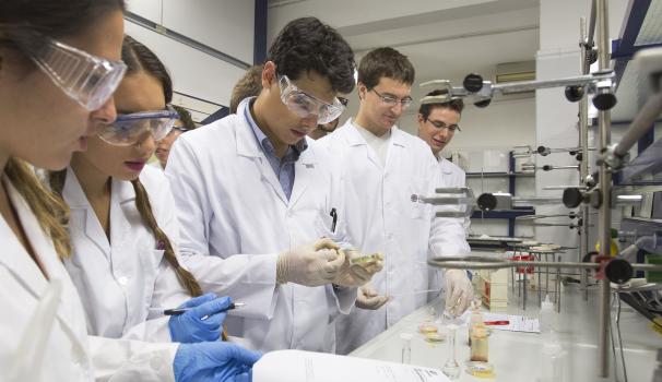 Grup de seminari al laboratori de Farmàcia