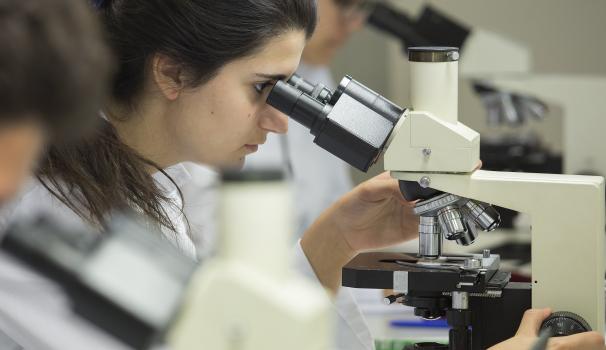 Alumna mirant a través d'un microscopi