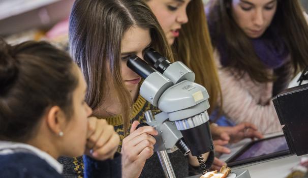 Laboratori de Ciències FPCEE