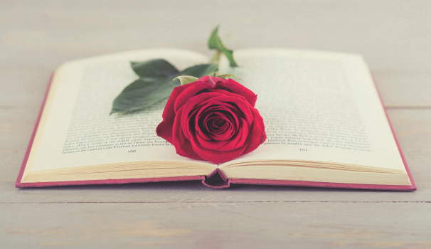 rosa-libro