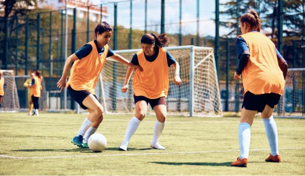 Esportistes d'Alt Nivell