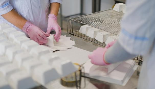 Restauració col·lectiva