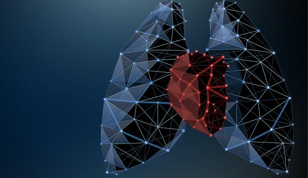 TEU Fisioterapia CardioRespiràtoria
