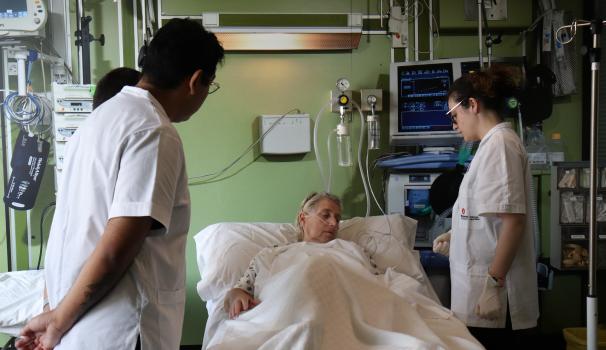 Simulacions transversals 