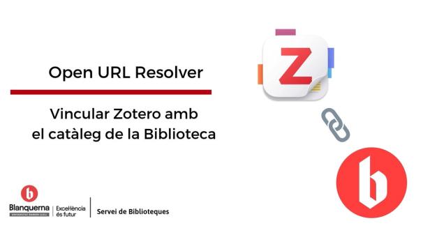 Open URL resolver
