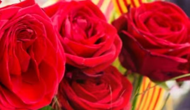 Sant Jordi
