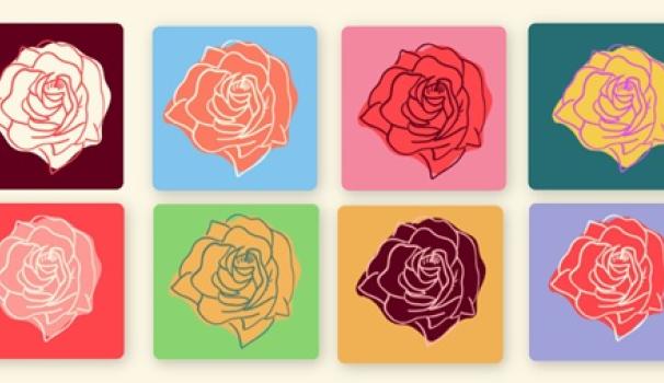 8 roses de diferents colors