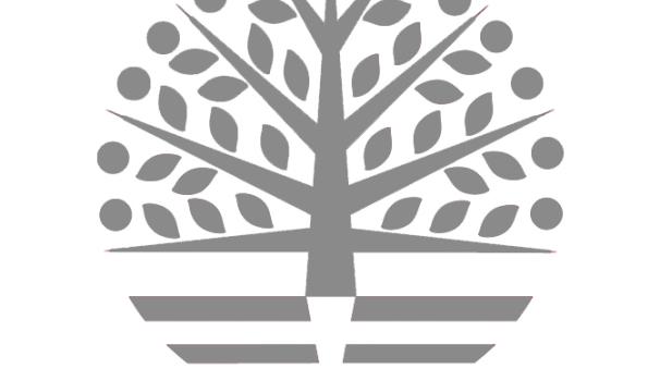 Declaració Institucional