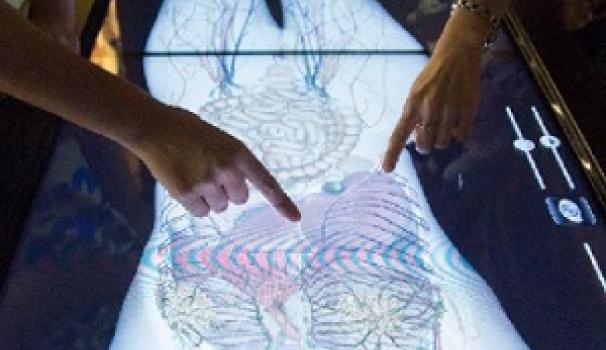 La Facultad imparte un curso sobre 'Técnicas de Diagnóstico por la Imagen y Anatomía Radiológica'