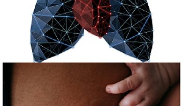 Preinscripción abierta para los títulos de experto en Fisioterapia Cardiorespiratoria, Lactancia Materna y Comunicación y Relación con el Paciente