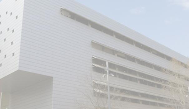 Global Communication Management, un grau per al professional que el món demana