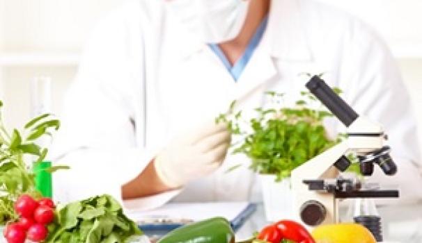 Blanquerna Salut dedica una taula rodona a la indústria alimentària i els aliments funcionals