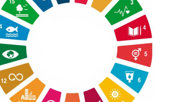 Es tenen en compte els objectius de l’agenda 2030 a les escoles i llars?