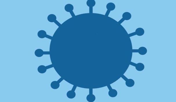 Institucional statement sent by the Blanquerna-URL Director general