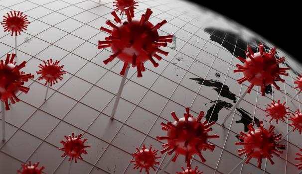 Webinar: The effects of COVID-19 Pandemic on Peace and Security