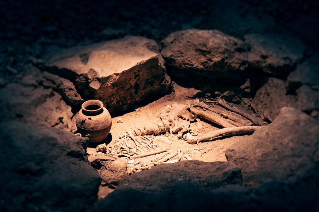 Antropología