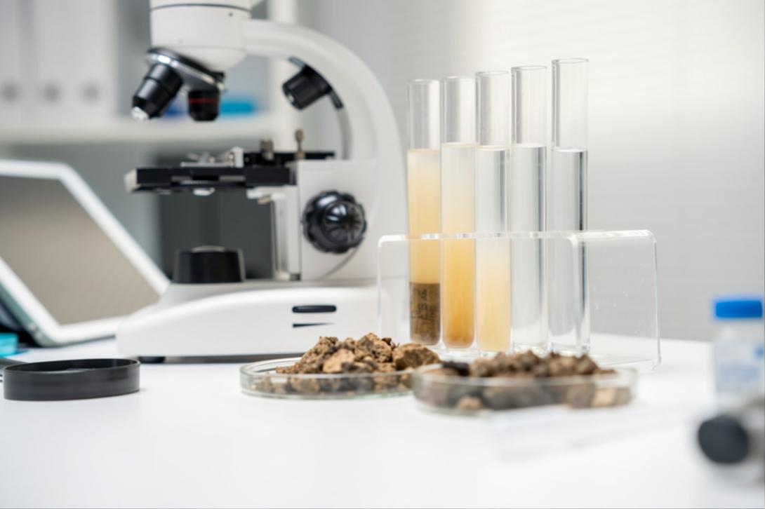 Bromatologia 2